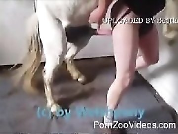 zoo Animal Sex
