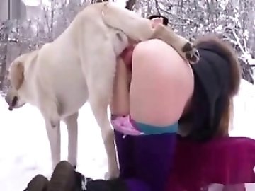 Animal porn bizarre Bizarre Sex: